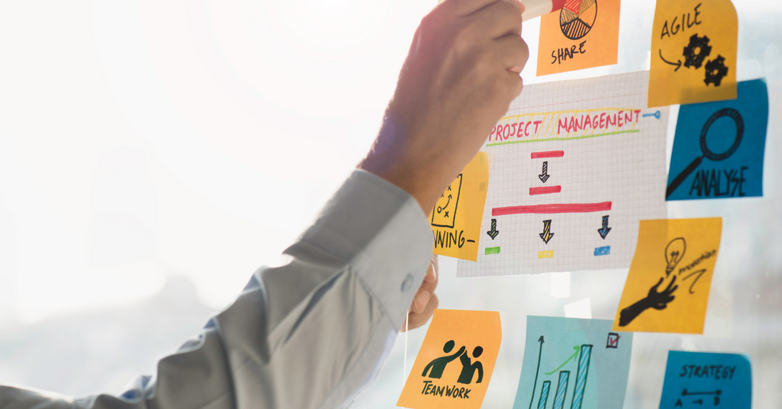 Project Management vs. People Management: Why Both Matter in Training